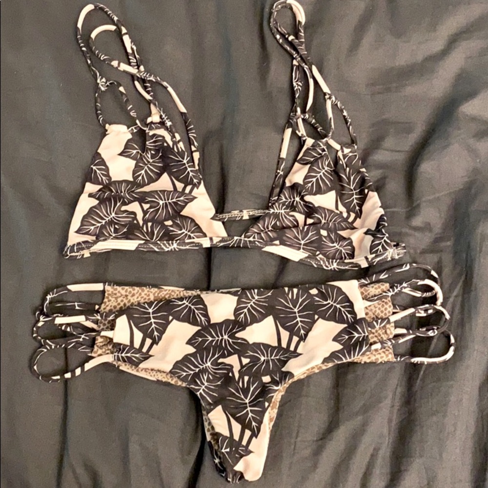 Acacia bikini